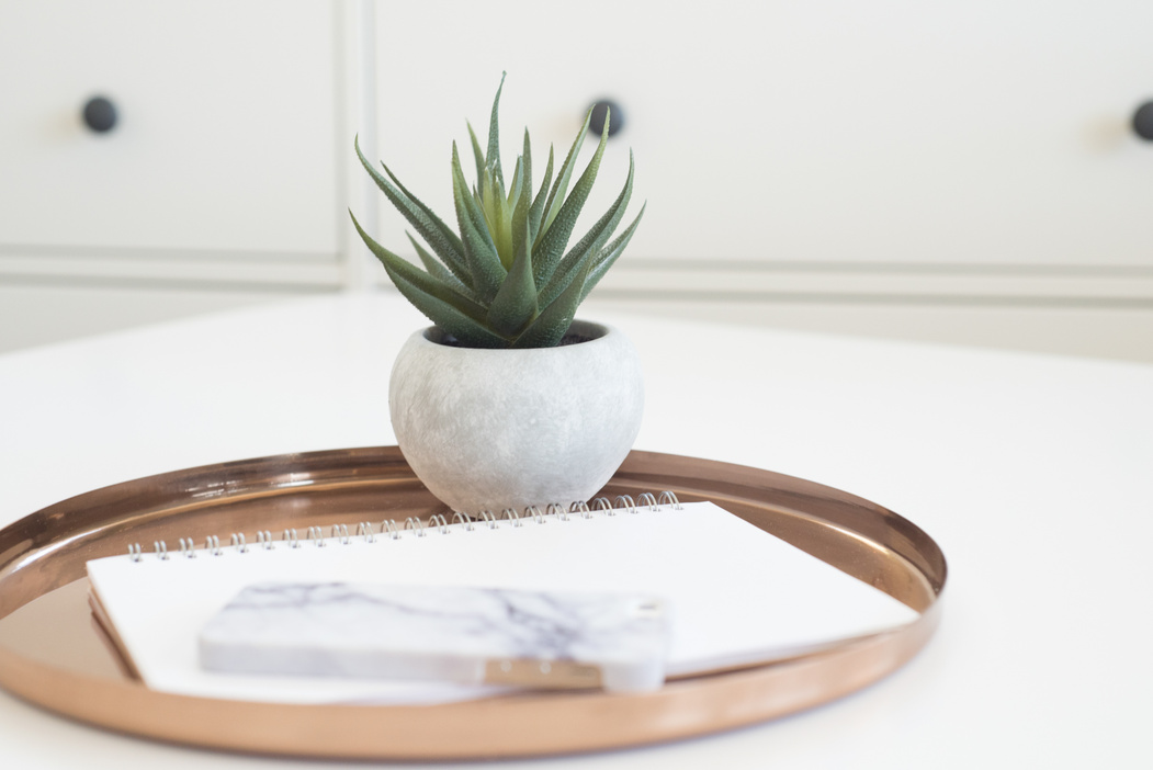 Agave Placed on a Bronze Tray